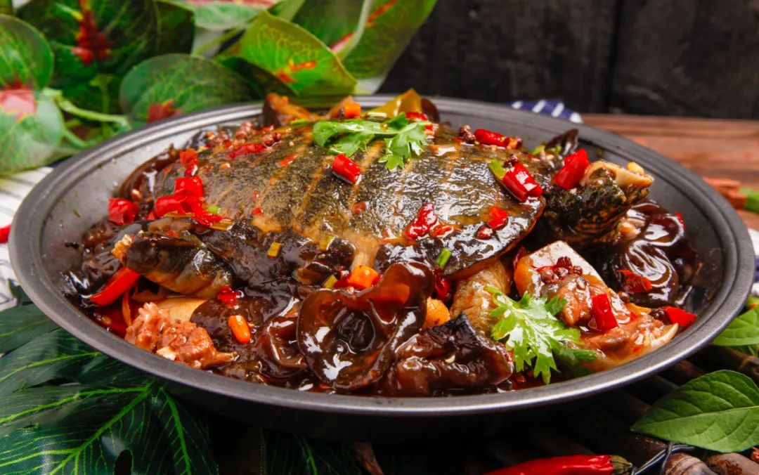 麻辣甲魚開店成功！(圖1)