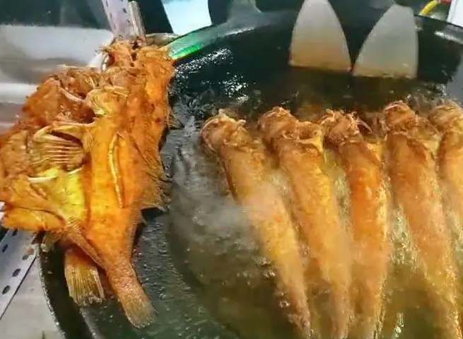 香煎深海魚培訓(xùn)哪家好？學(xué)費多少錢(圖1)