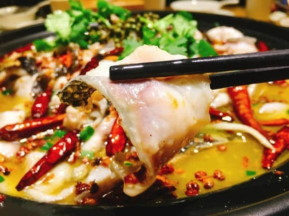 火鍋魚大揭秘：這幾種魚讓你的火鍋店生意火爆！(圖1)